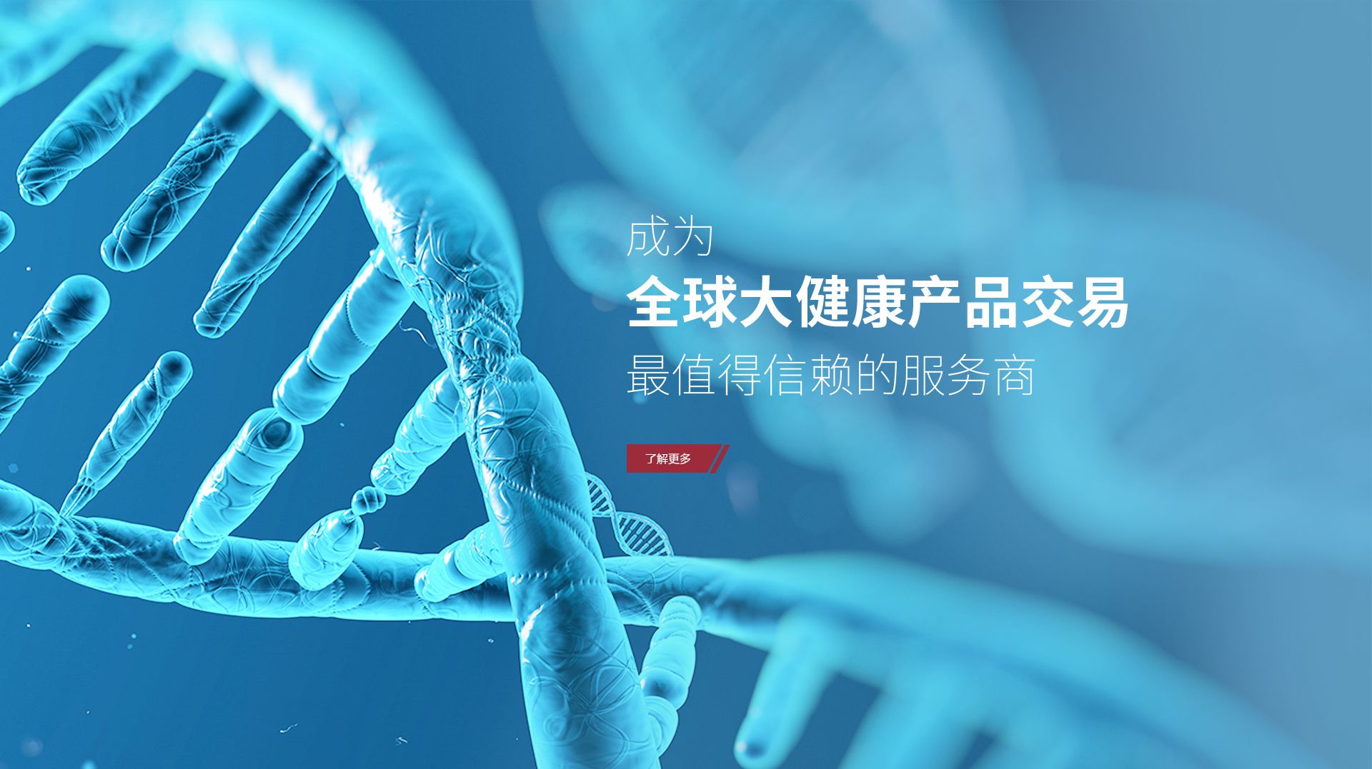 问鼎国际科技